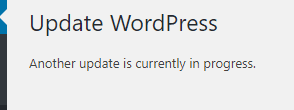 another update is currently in progress.