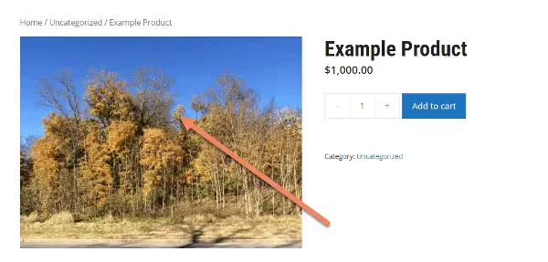 screenshot of example woocommerce product with arrow pointing to product image