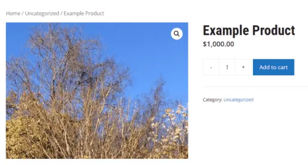 screenshot of an example WooCommerce product with the image zoomed.