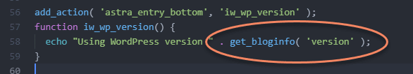 Code showing an example of echoing get_bloginfo version