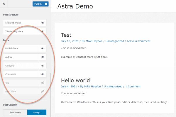 Astra customizer highlighting a reordered meta list